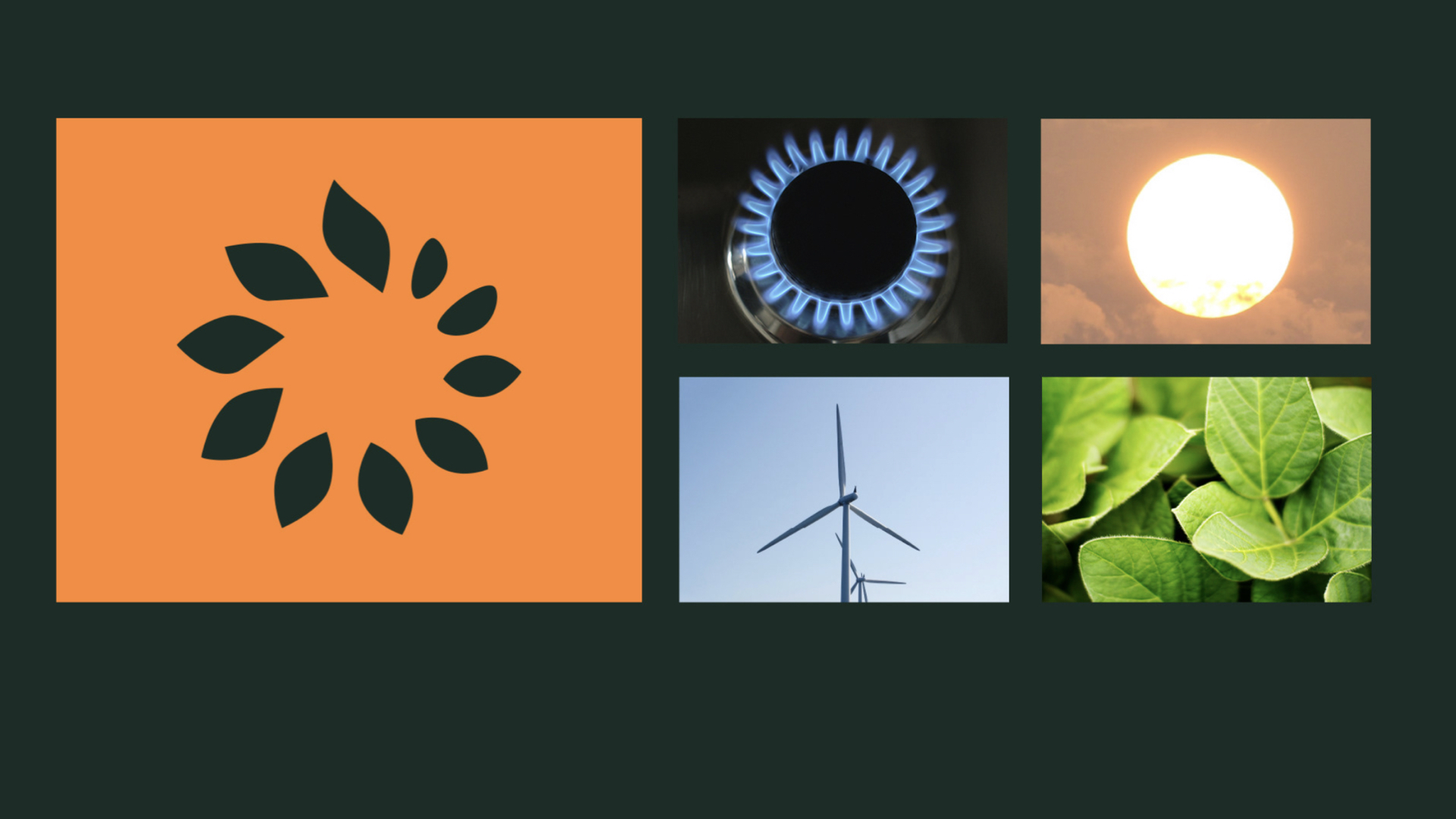 可再生能源vi設計 .jpeg