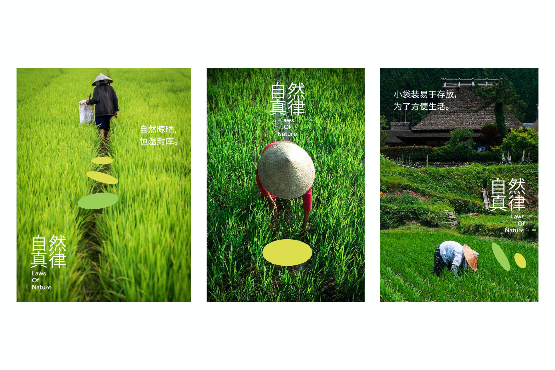 VI設計在農(nóng)產(chǎn)品品牌中的角色-傳遞自然與健康的視覺語言